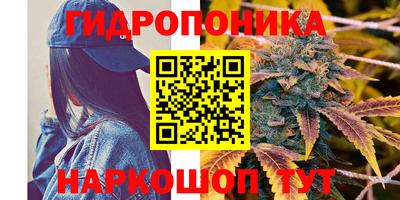 прущие грибы Малгобек