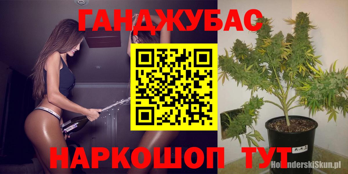 Бошки Шишки AK-47  Бошки марихуана VHQ  Вход с VPN  Бошки Шишки Bruce Banner  Тара  Конопля план 